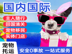 厦门高崎机场物流国际宠物托运 【国